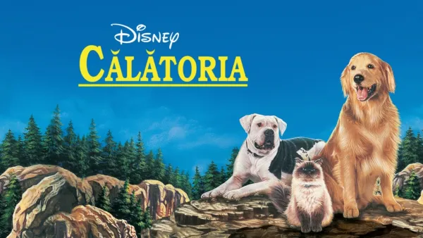 thumbnail - Călătoria