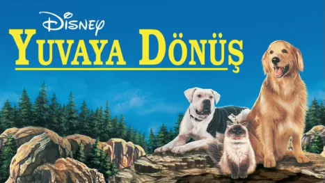 thumbnail - Yuvaya Dönüş