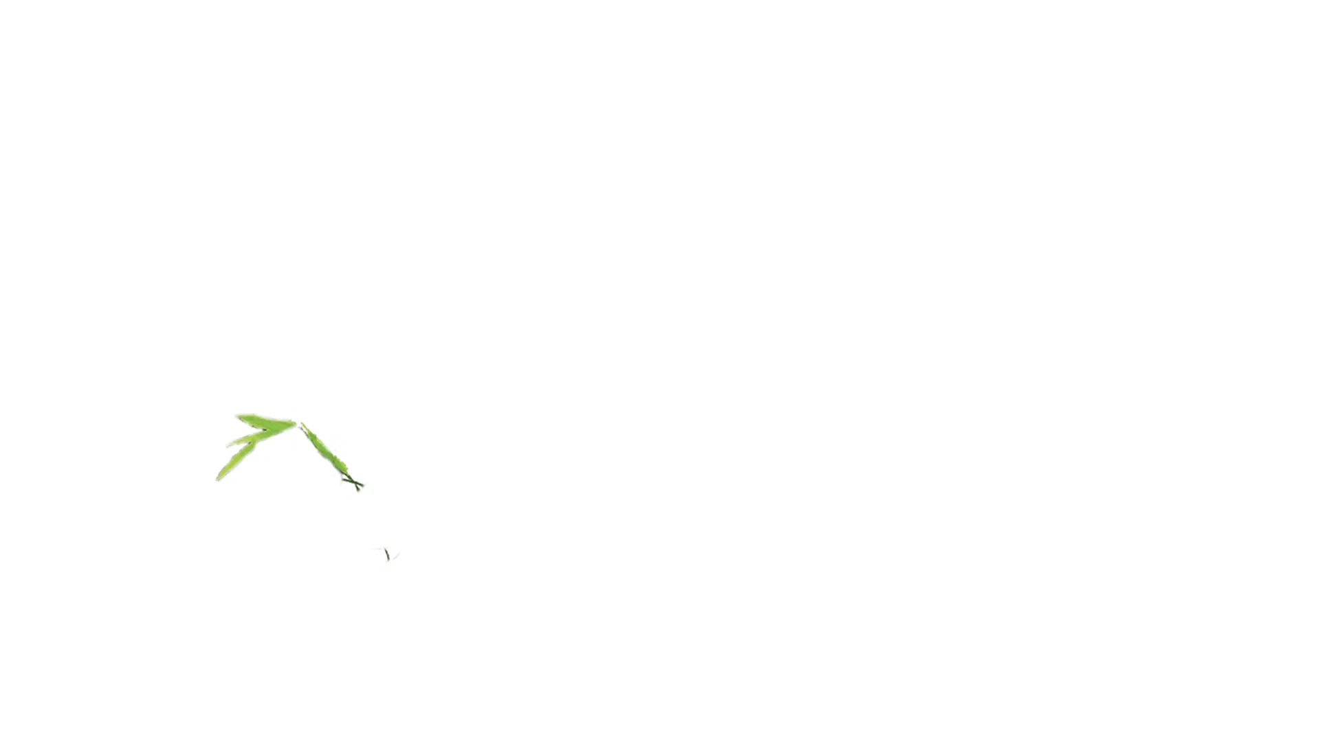 Trail of the Panda