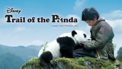 Trail of the Panda