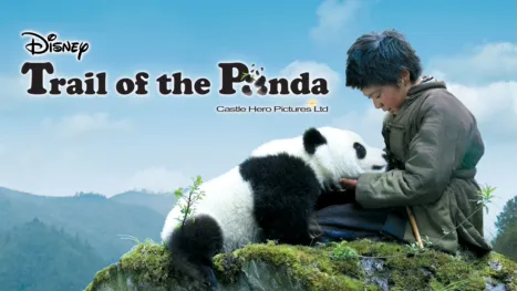 thumbnail - Trail of the Panda