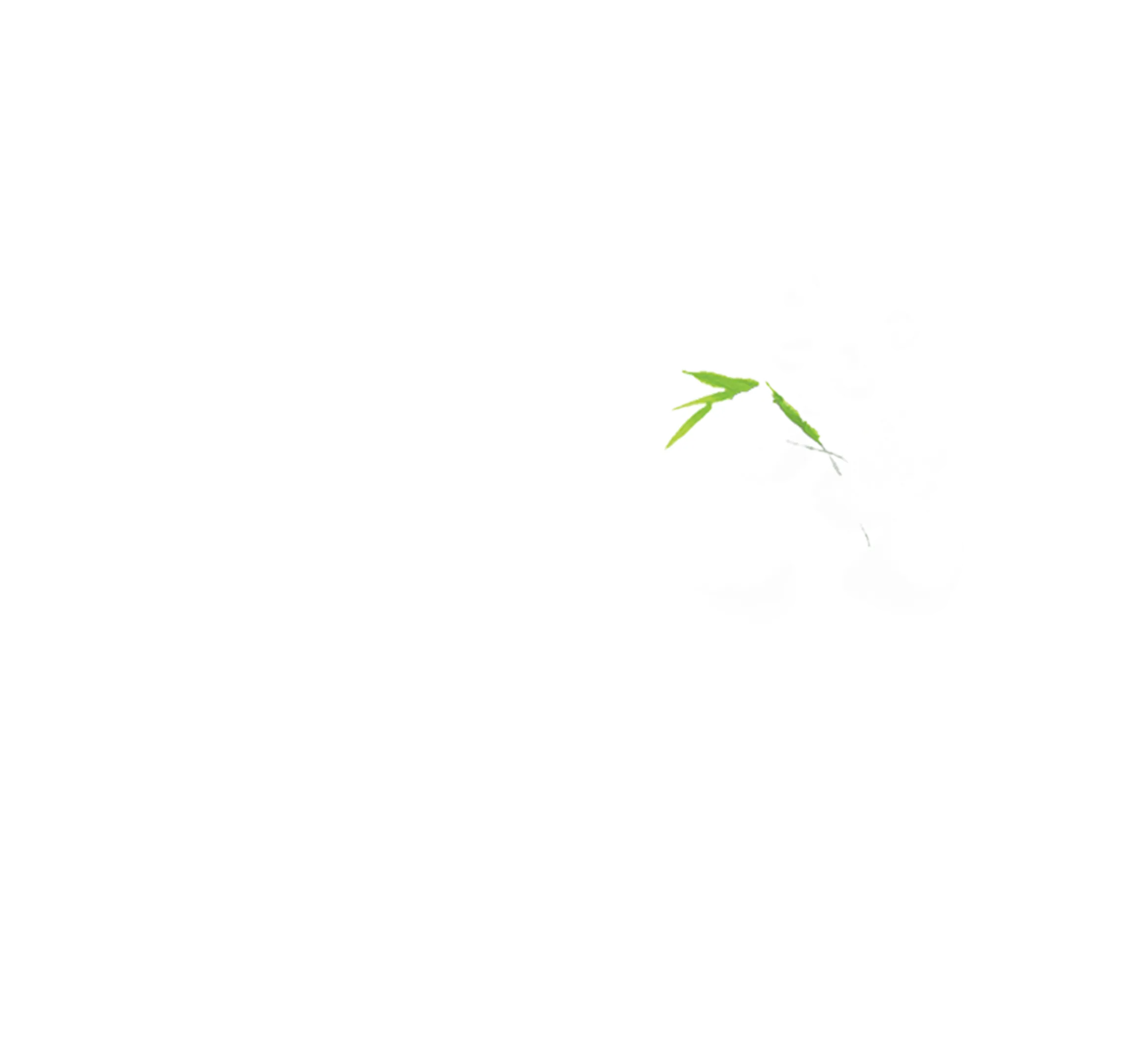 熊猫回家路