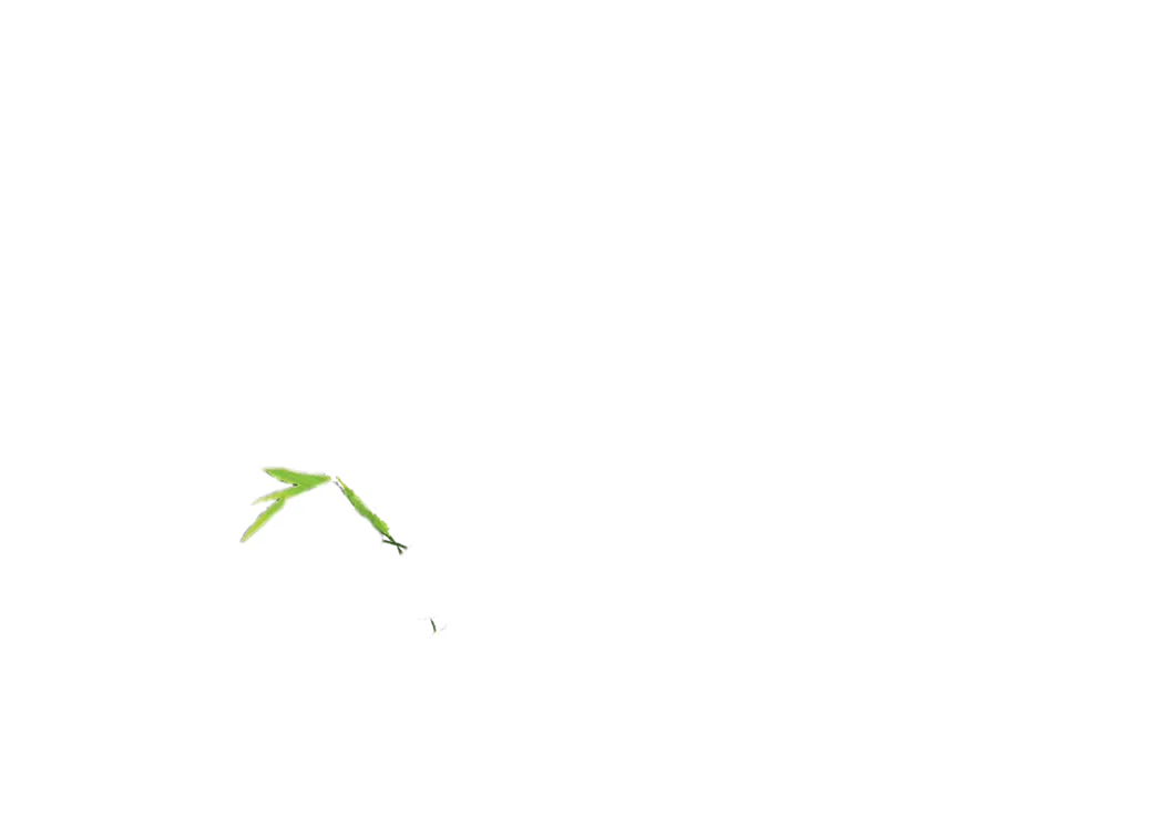 El camino del panda