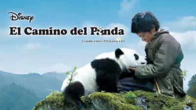 El camino del panda