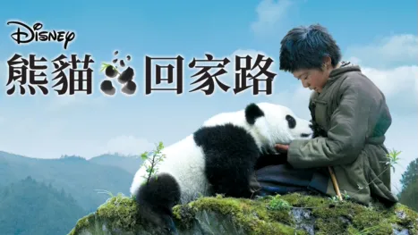 thumbnail - 熊貓回家路