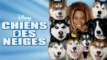 thumbnail - Chiens des neiges