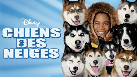 thumbnail - Chiens des neiges