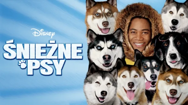 thumbnail - Śnieżne psy