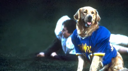Air Bud: Golden Receiver