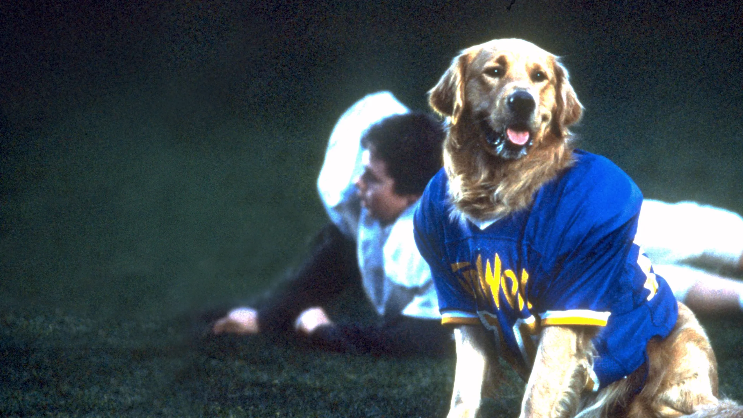 Air Bud: Golden Receiver