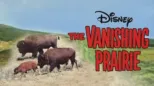 thumbnail - The Vanishing Prairie