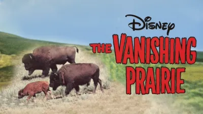 The Vanishing Prairie