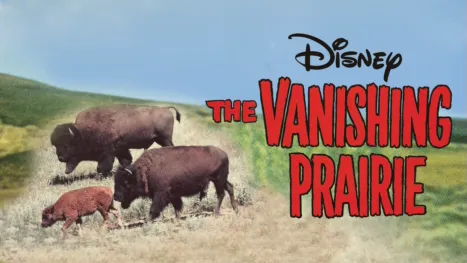 thumbnail - The Vanishing Prairie