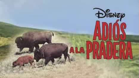 thumbnail - Adiós a la Pradera