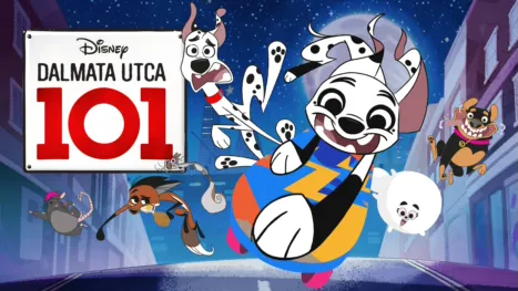 thumbnail - Dalmata utca 101