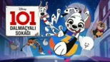 thumbnail - 101 Dalmaçyalı Sokağı