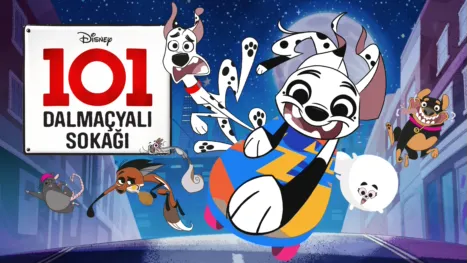 thumbnail - 101 Dalmaçyalı Sokağı