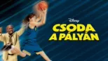 thumbnail - Csoda a pályán