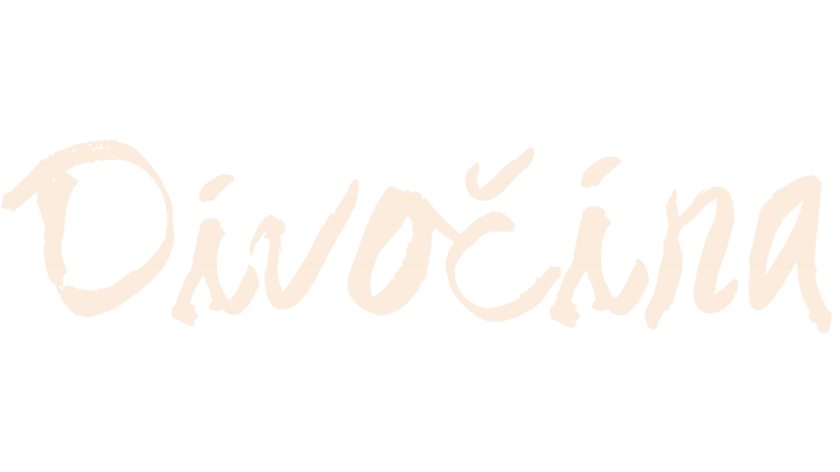 Divočina