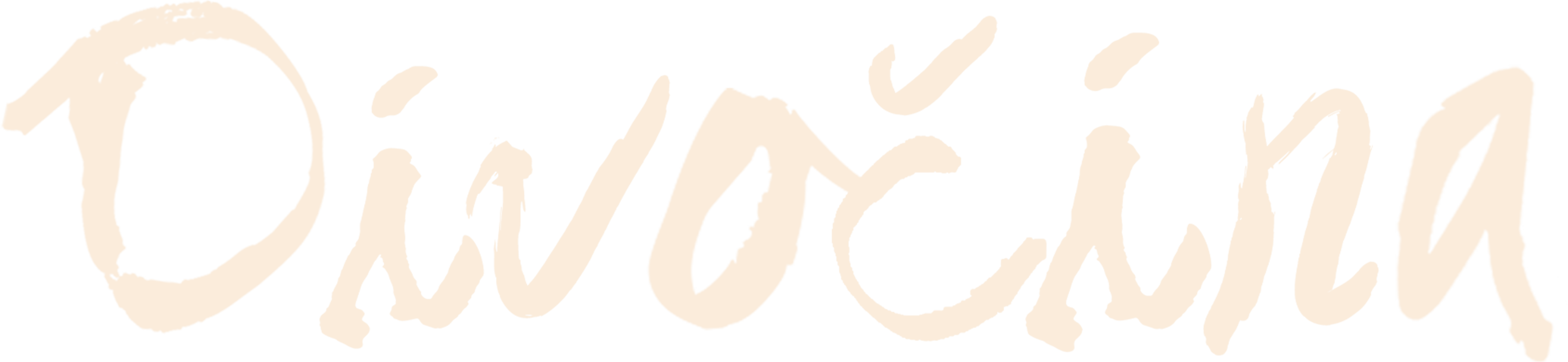 Divočina