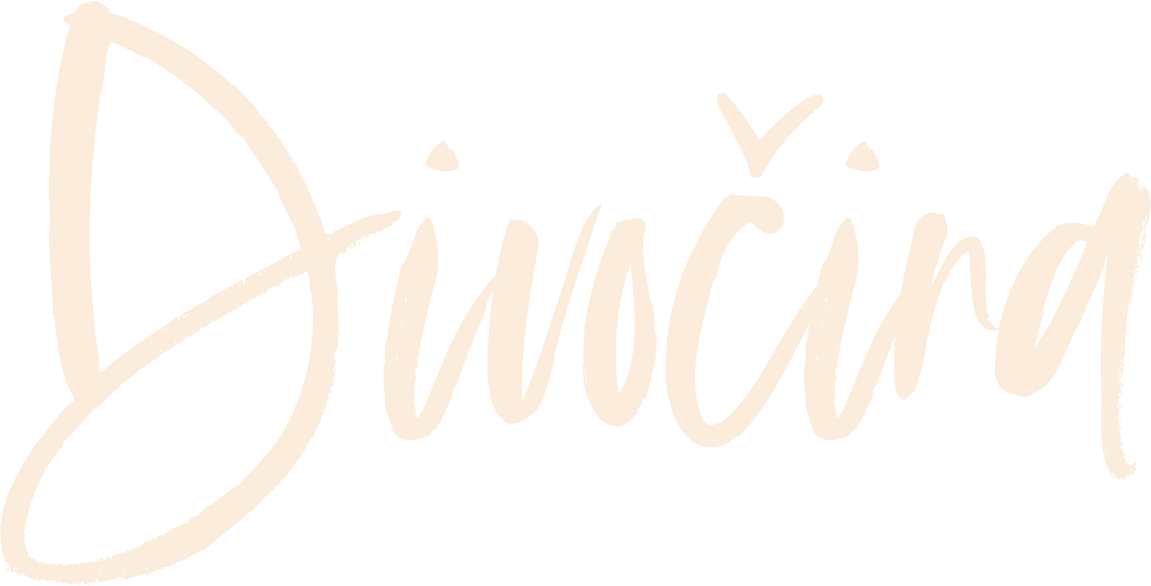 Divočina