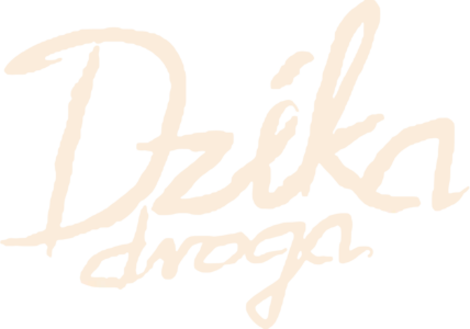 Dzika Droga