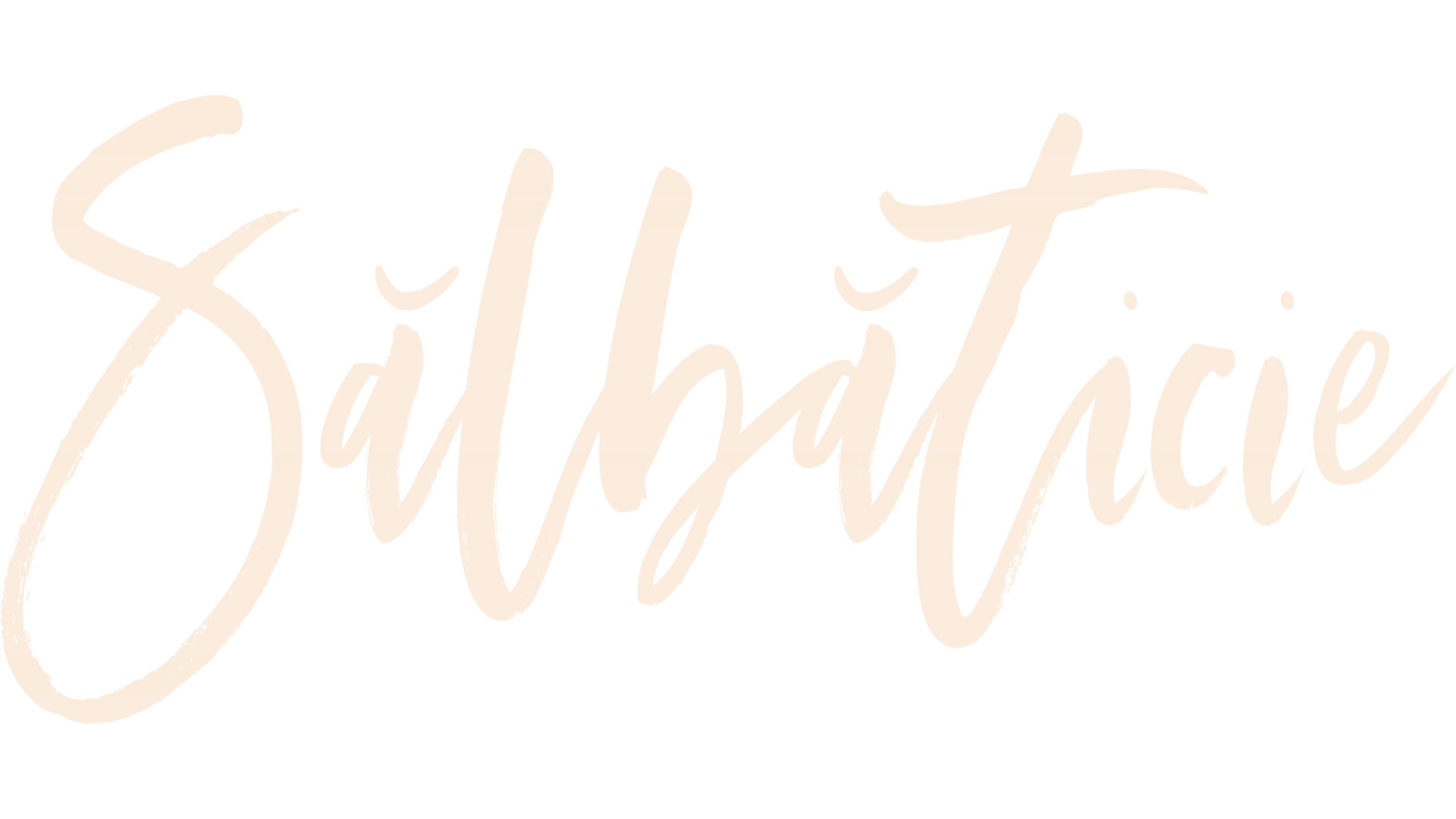 Sălbăticie