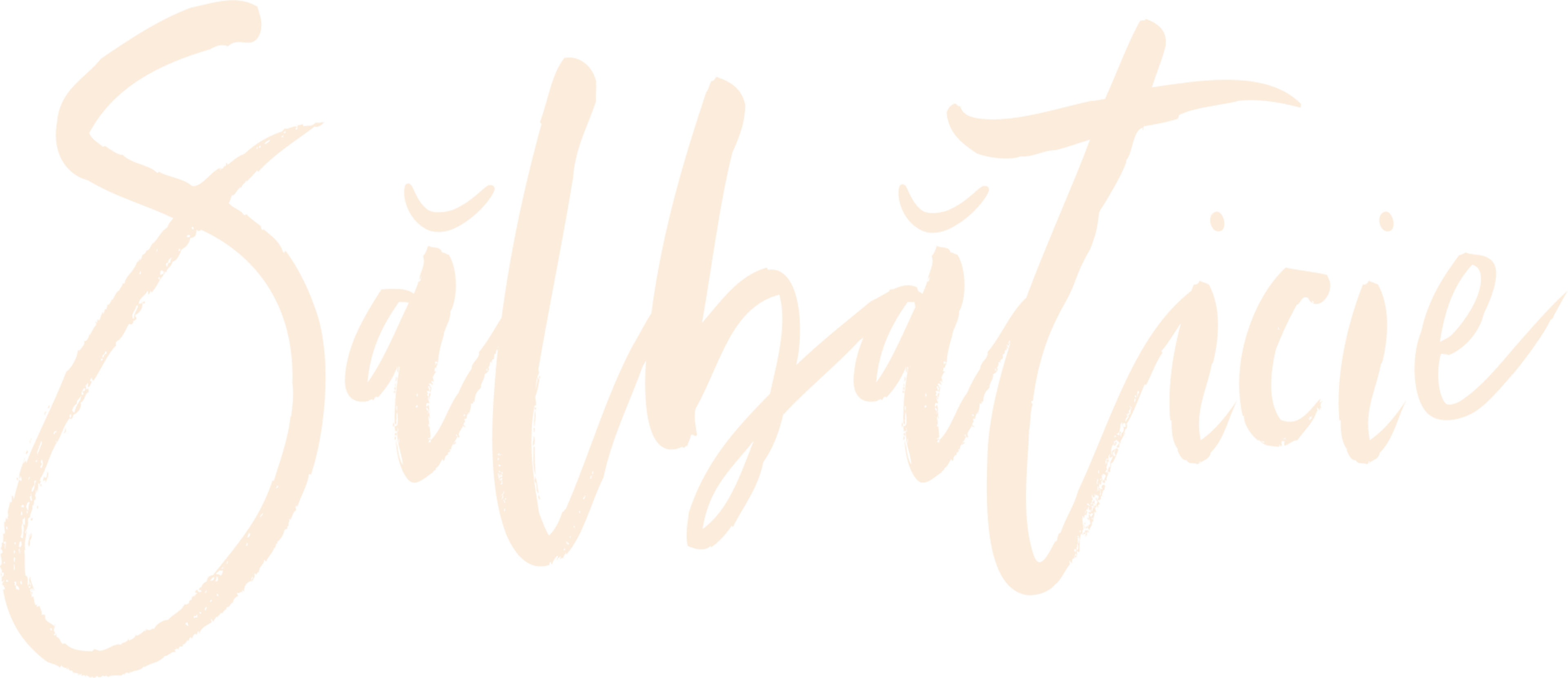 Sălbăticie
