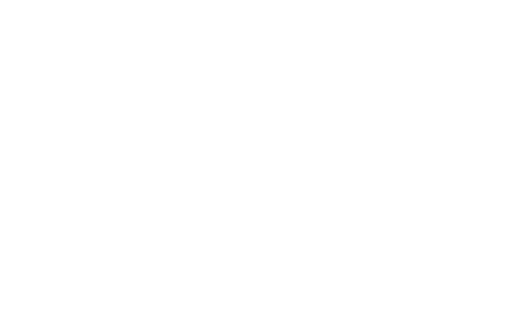 Den blå paraplyen