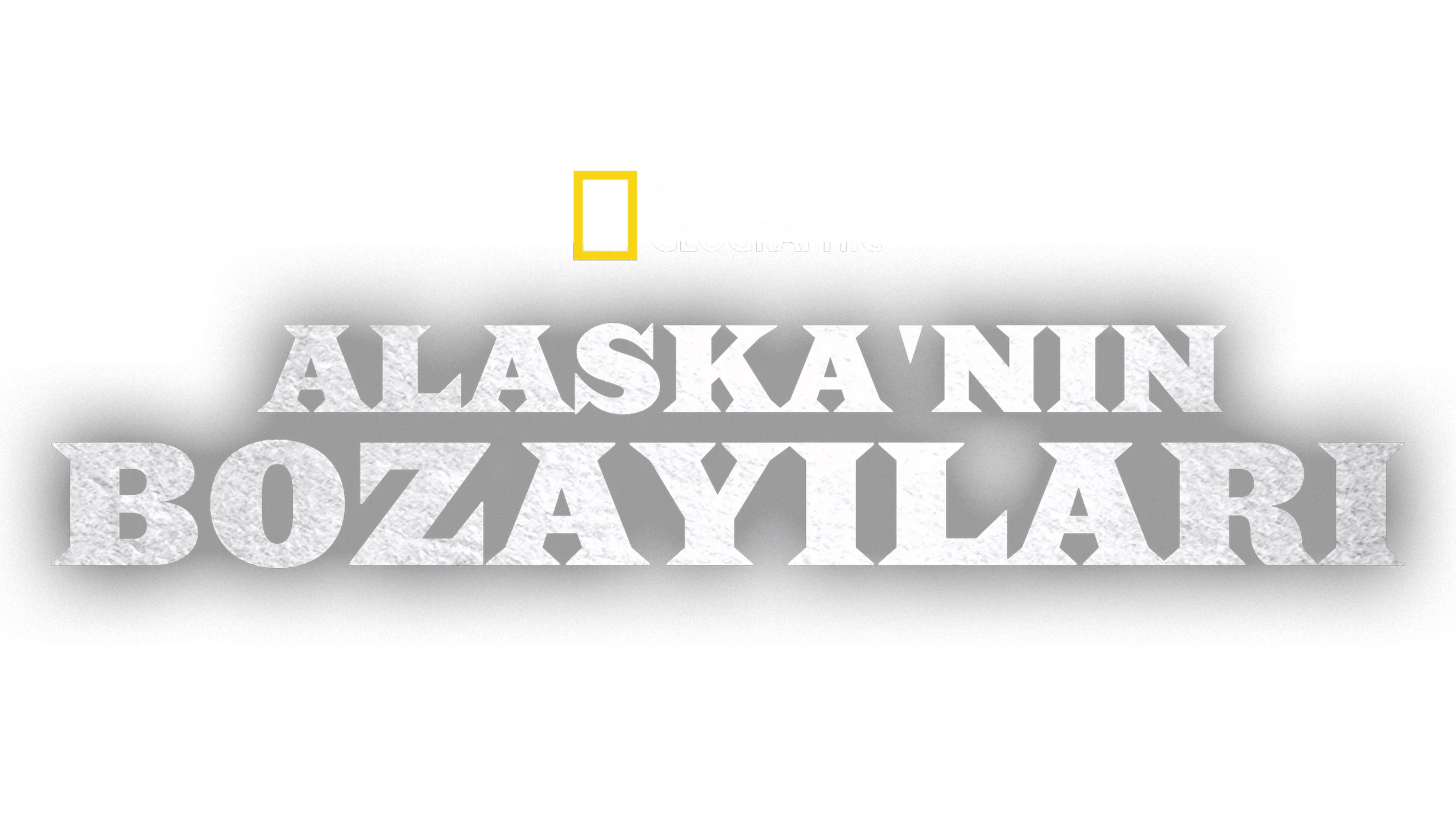 Alaska'nın Bozayıları