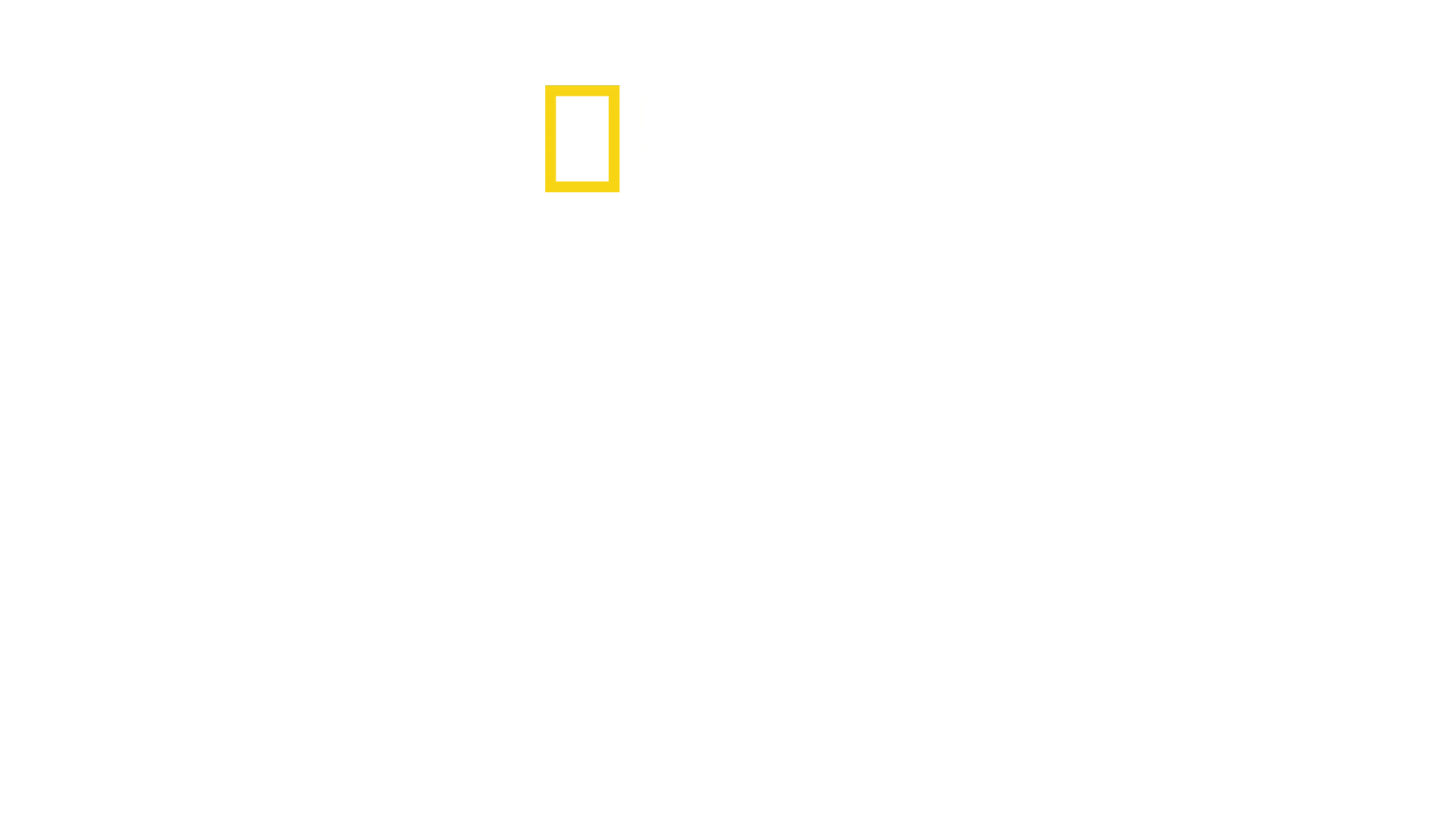 På innsiden: Egypt