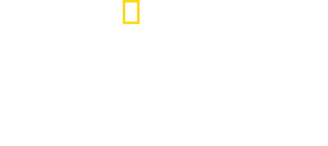 På innsiden: Egypt
