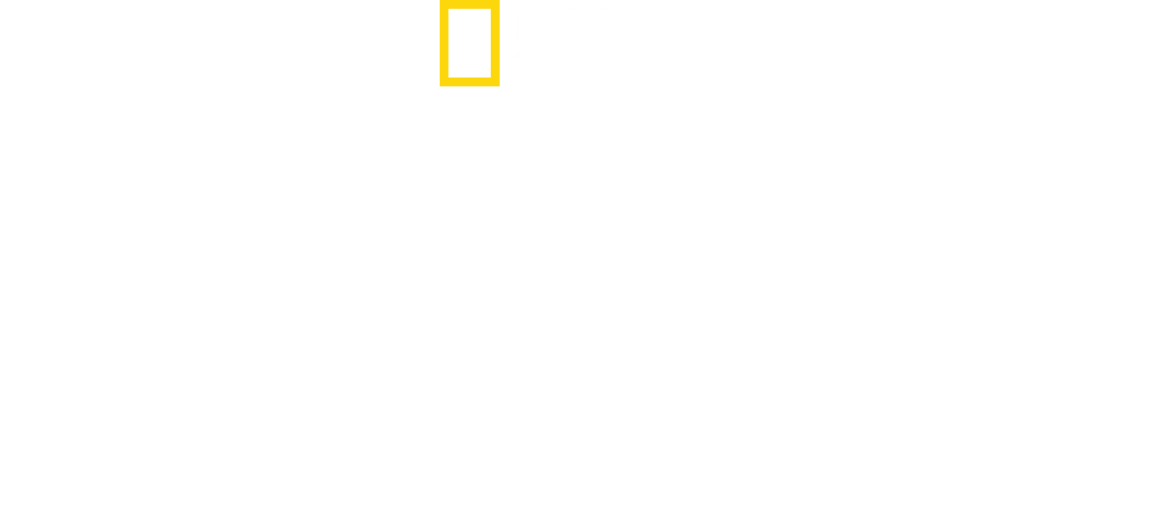 På innsiden: Egypt