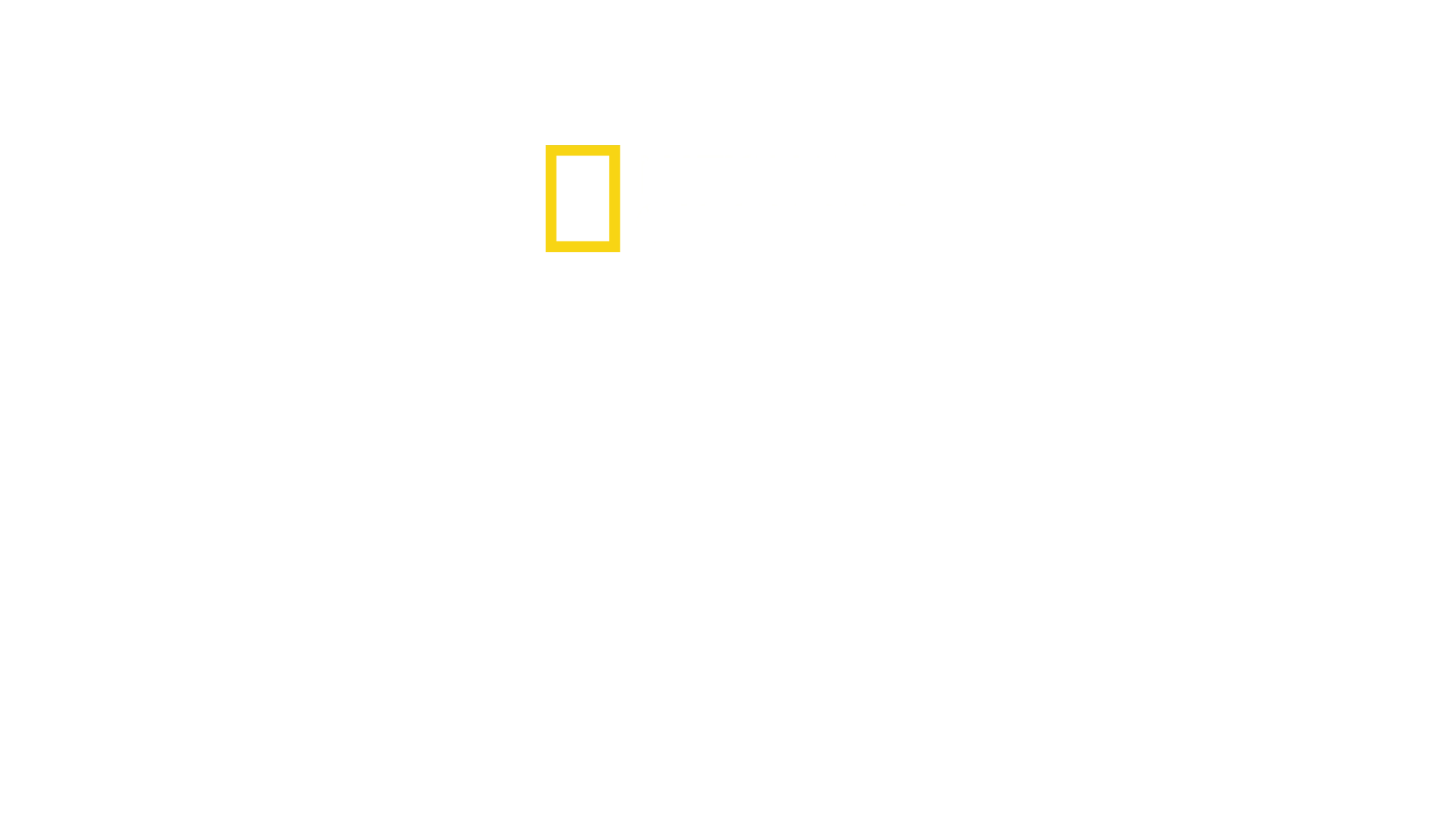 L'Egypte vue du ciel