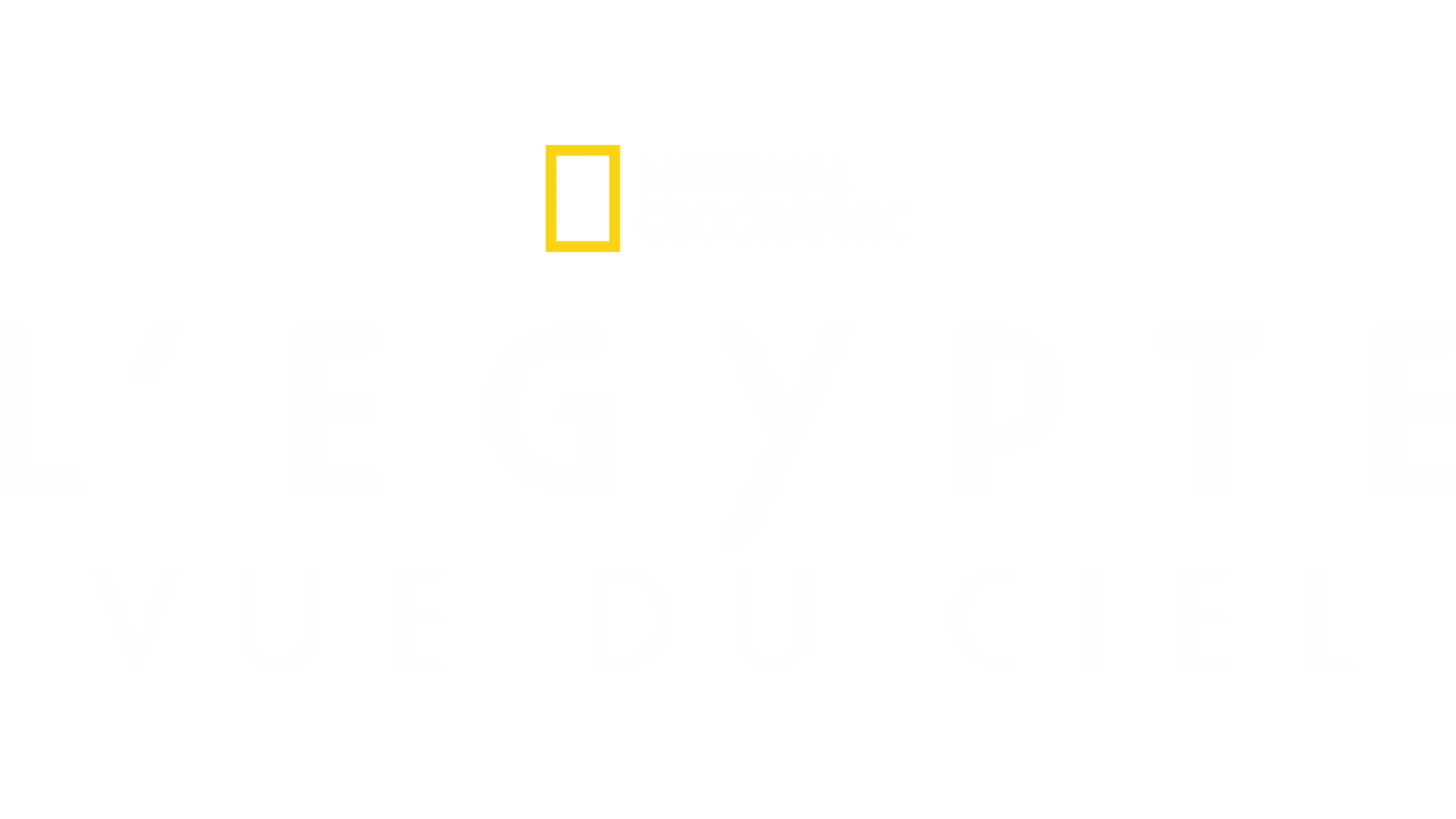 L'Egypte vue du ciel