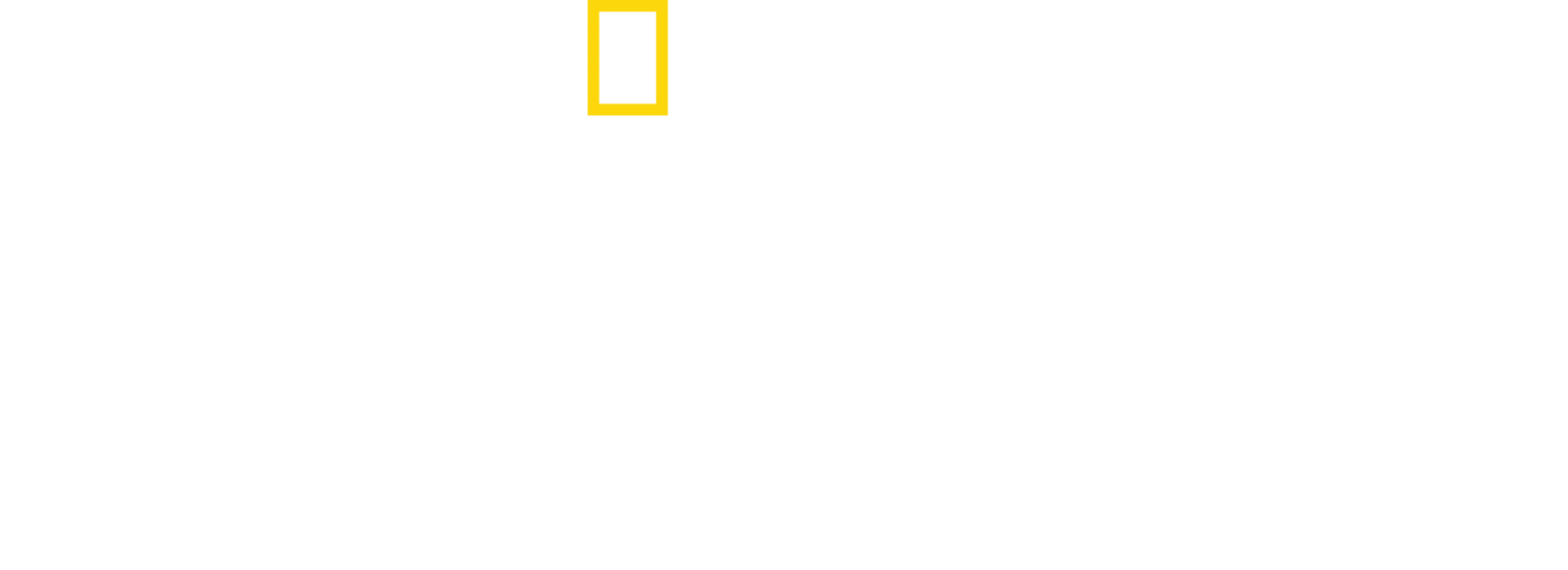 L'Egypte vue du ciel