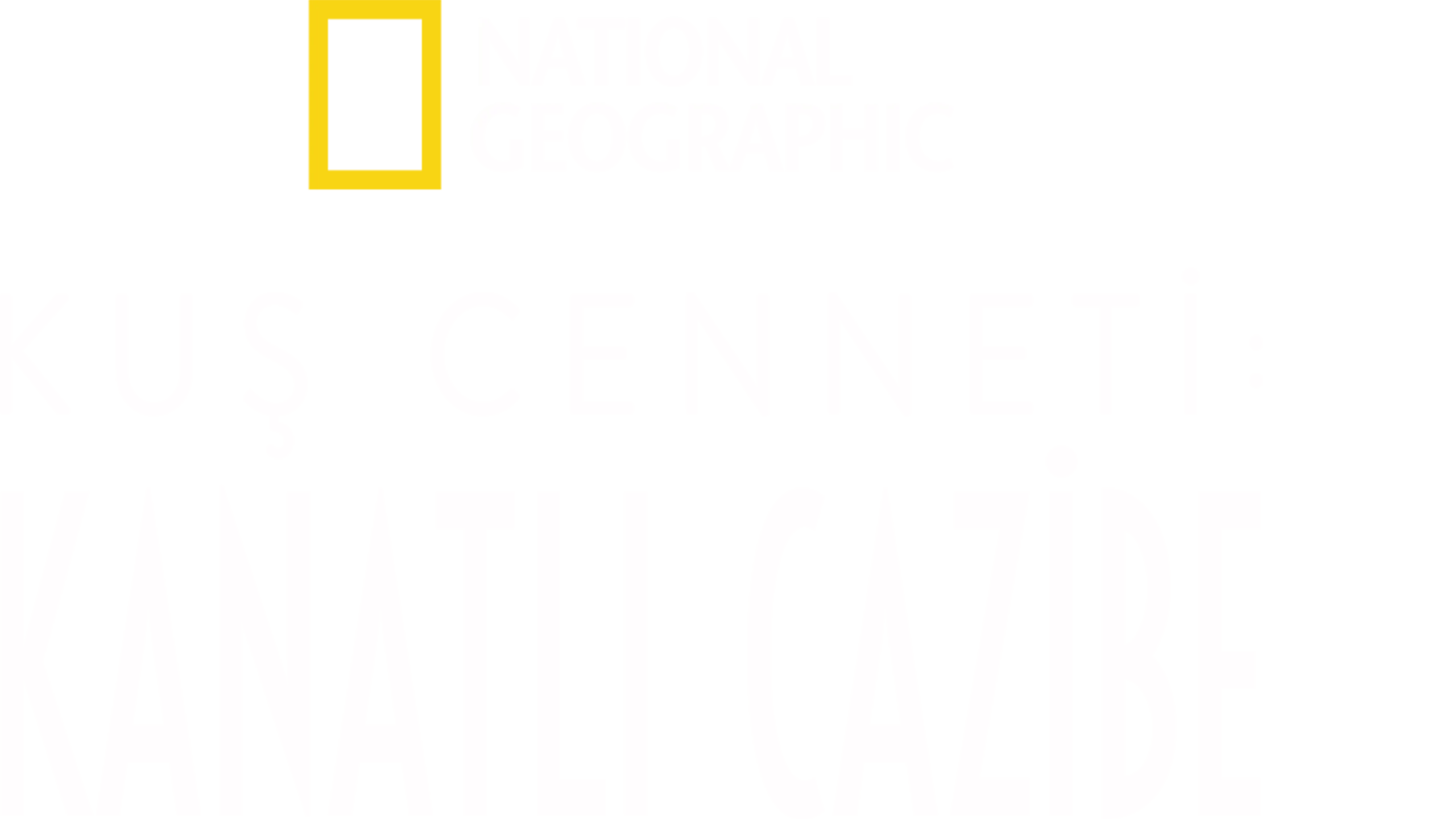 Kuş Cenneti: Kanatlı Cazibe