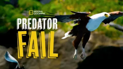 Epic Predator Fails