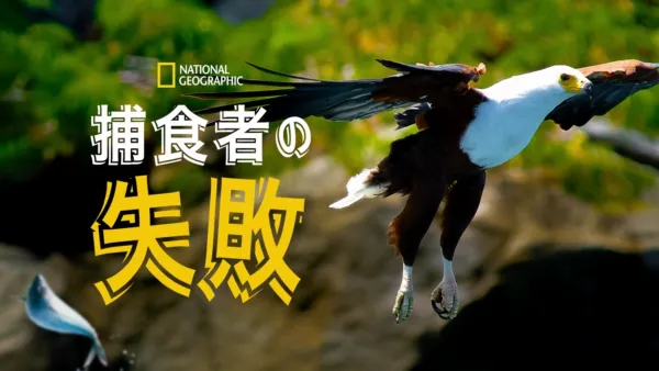 thumbnail - 捕食者の失敗