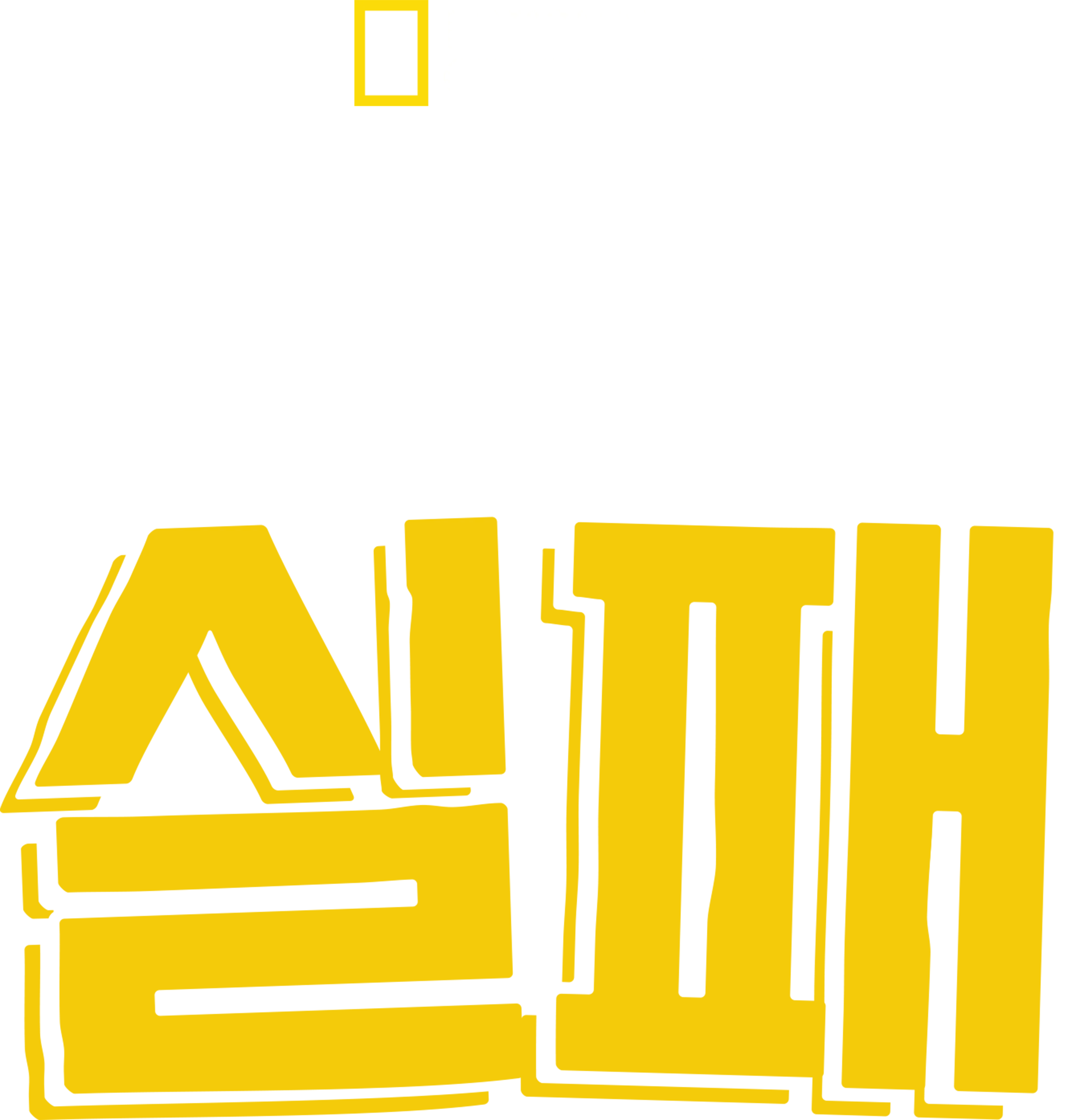 포식동물의 실패