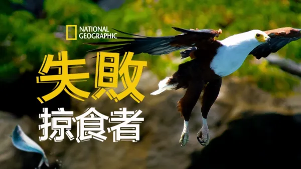 thumbnail - 失敗掠食者