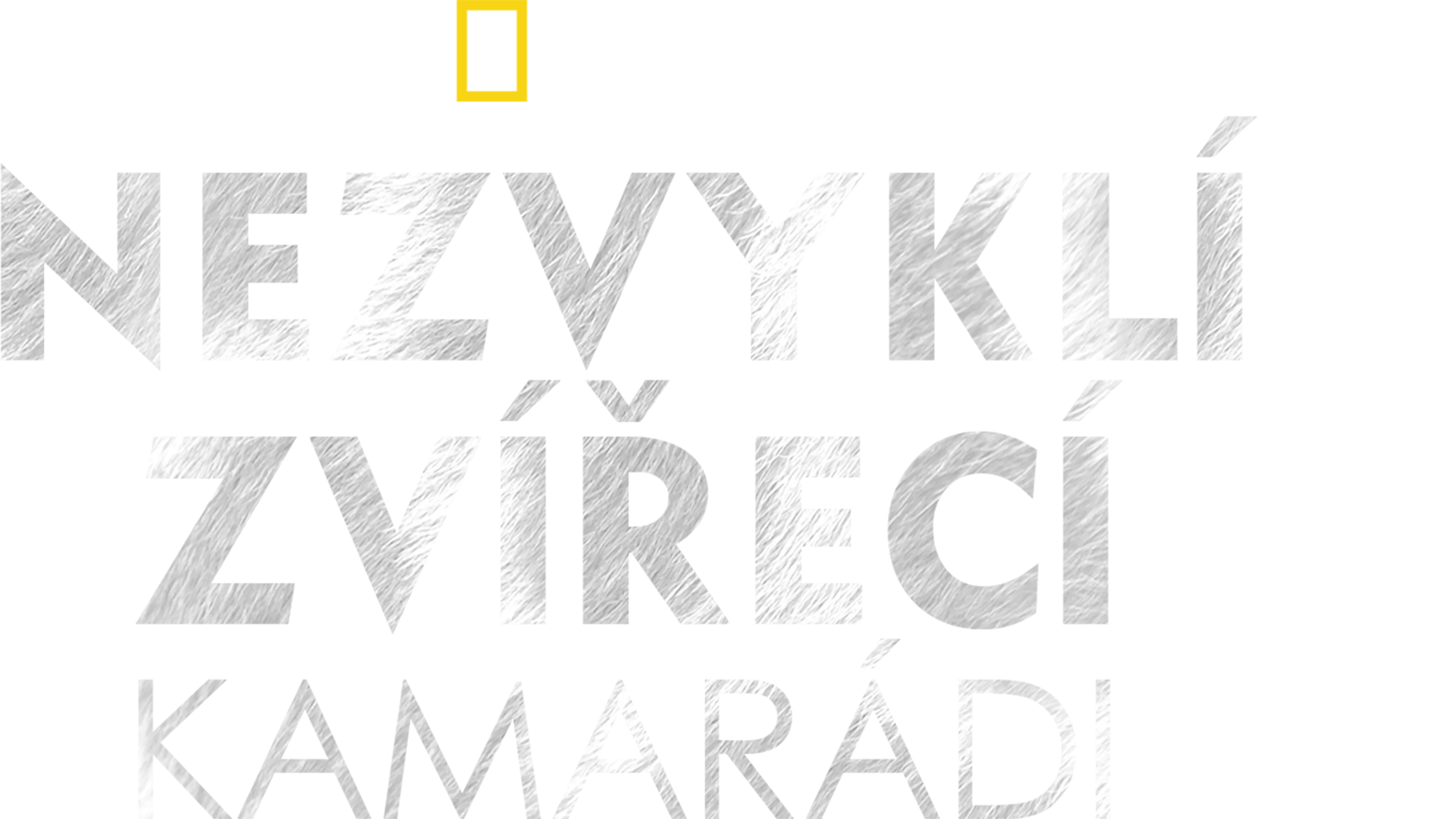 Nezvyklí zvířecí kamarádi