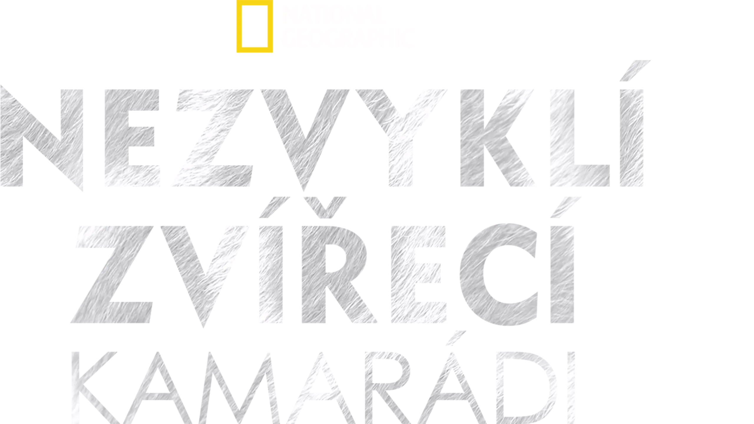 Nezvyklí zvířecí kamarádi