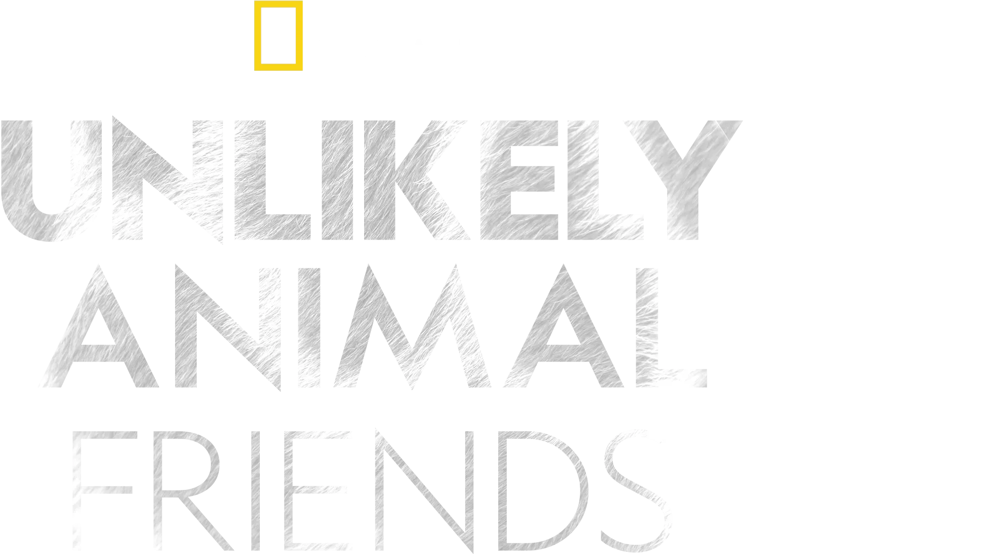 Unlikely Animal Friends