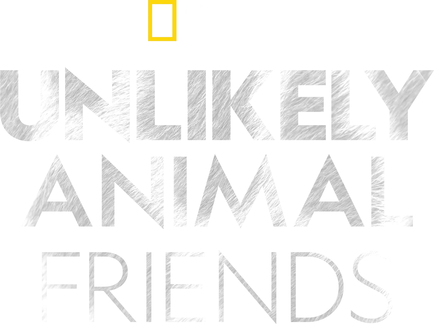Unlikely Animal Friends