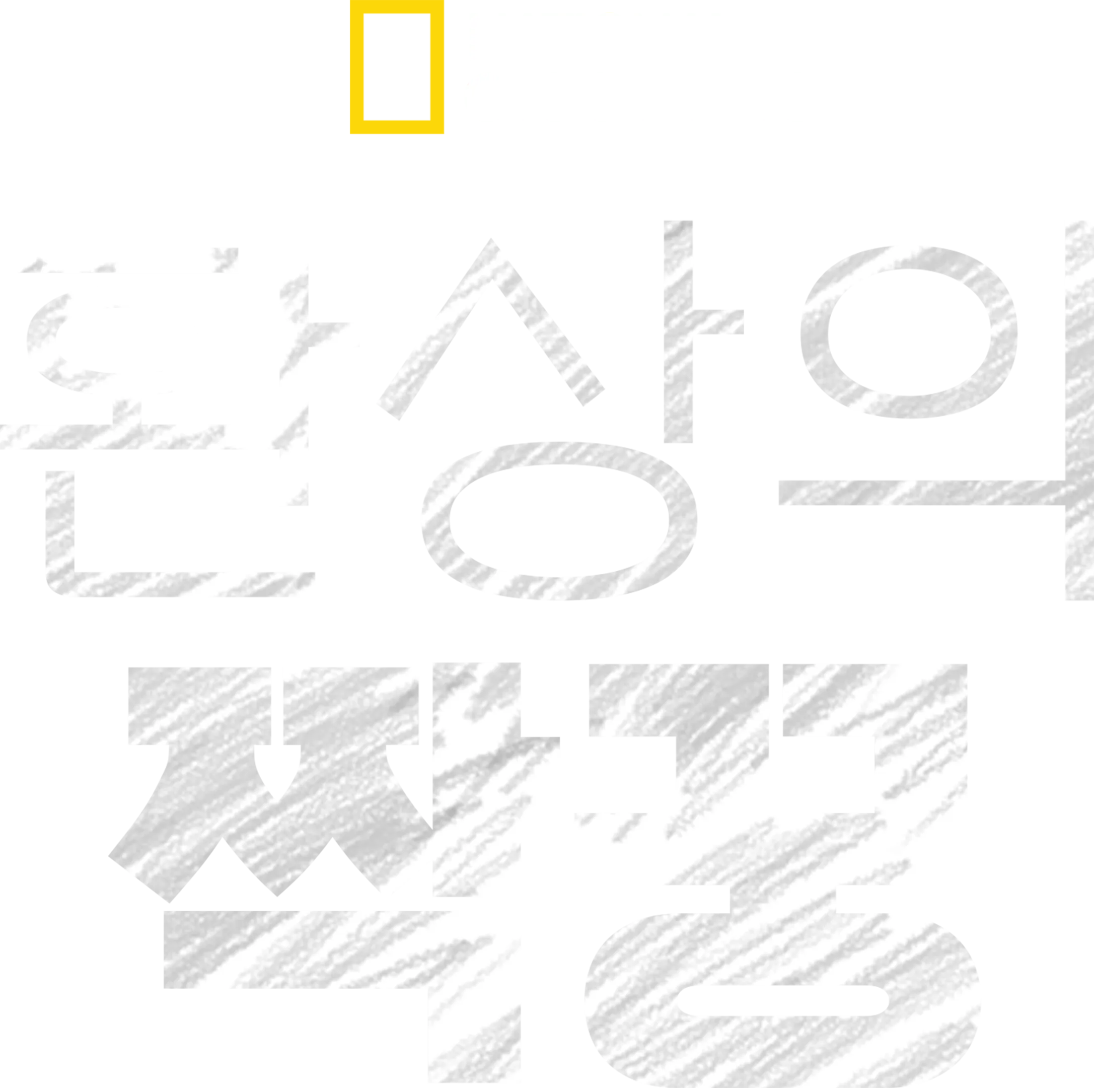 환상의 짝꿍