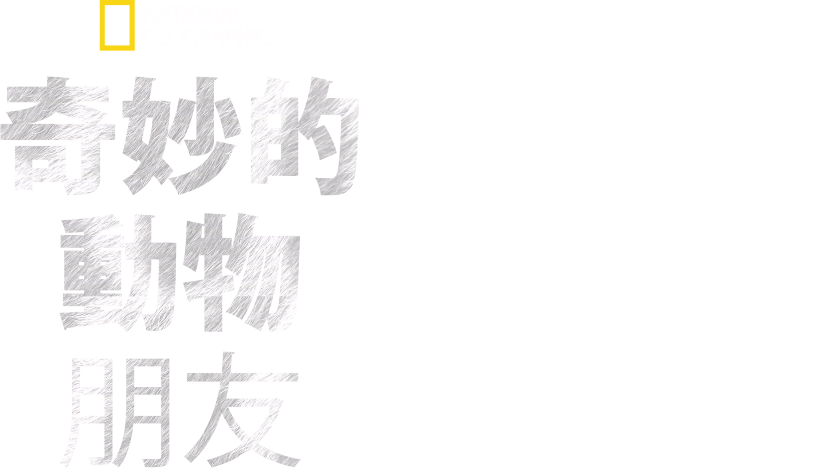 奇妙的動物朋友