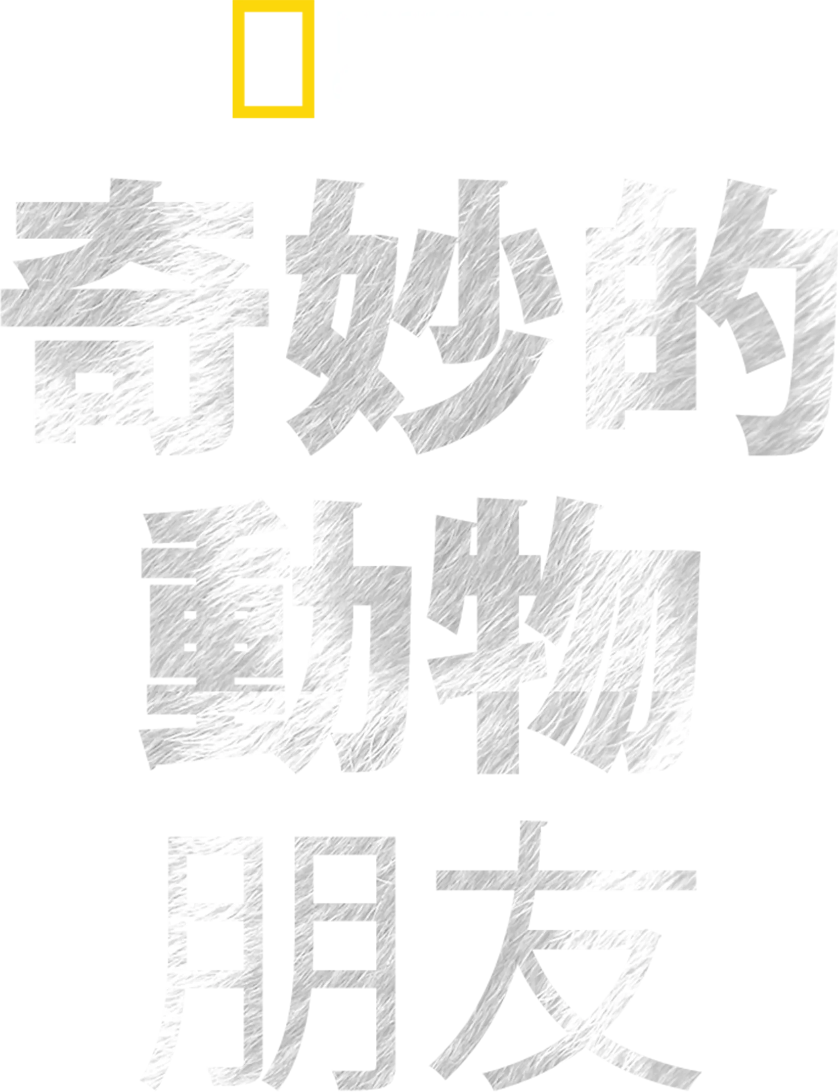 奇妙的動物朋友