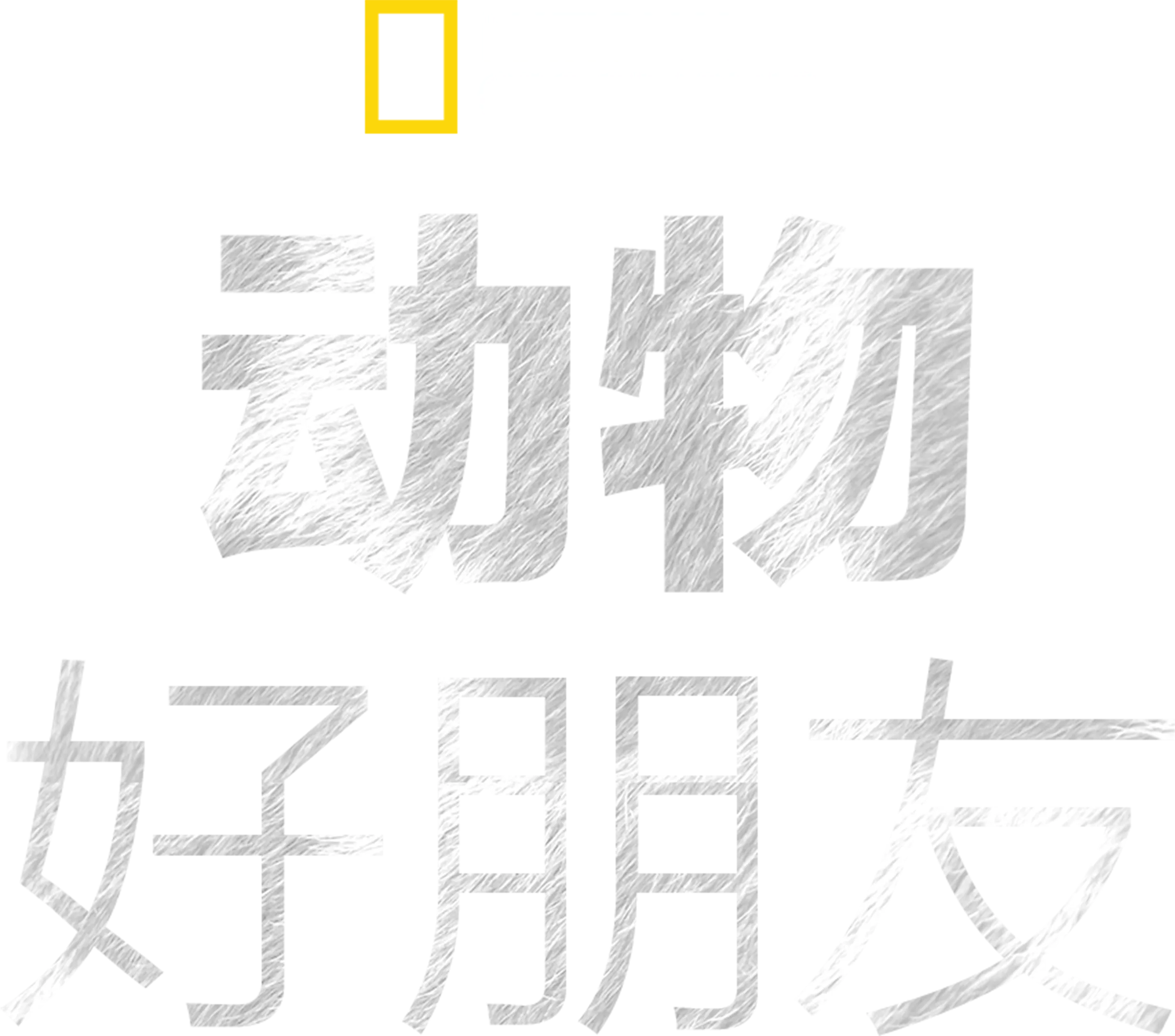 动物好朋友
