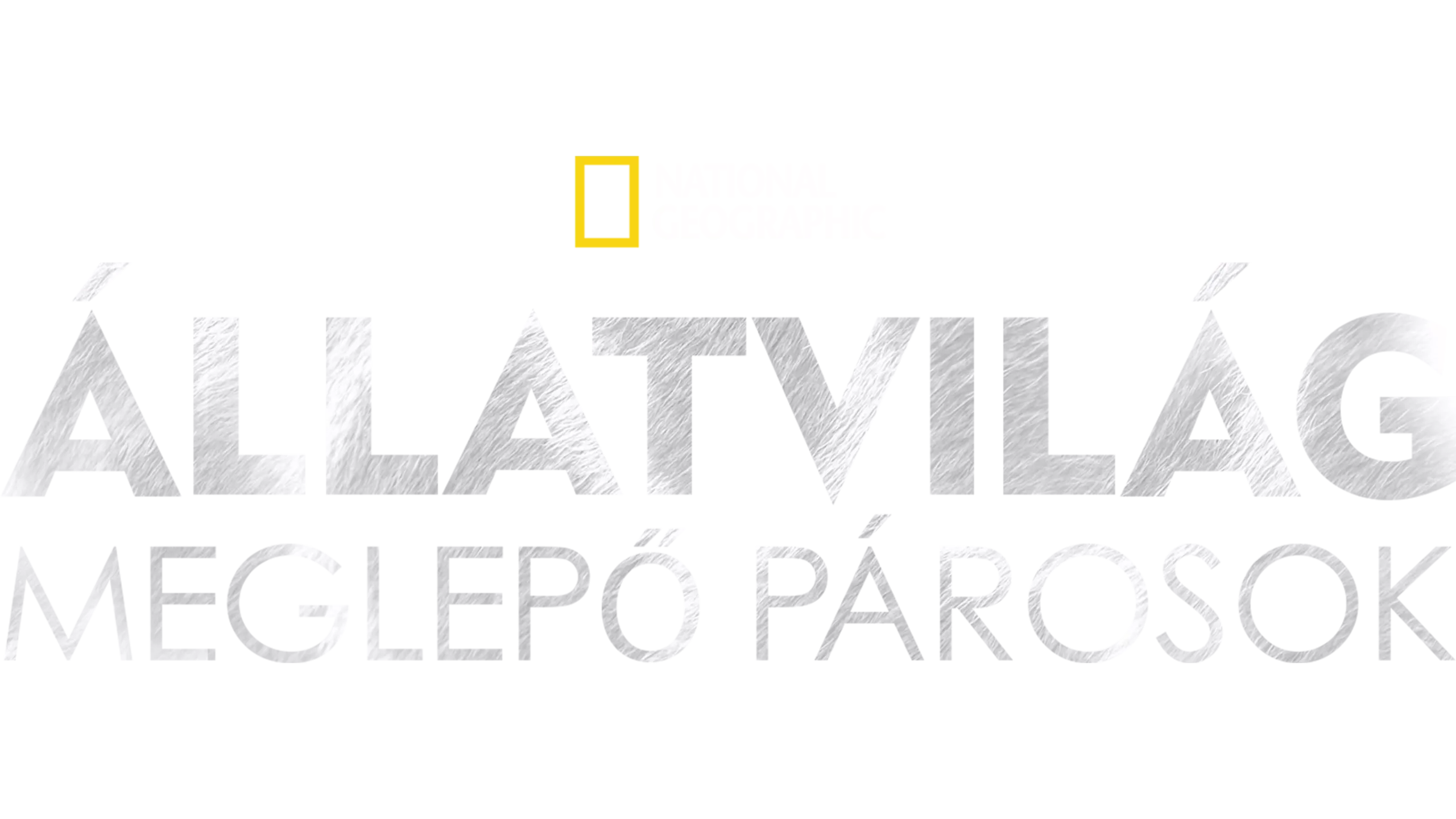 Állatvilág: meglepő párosok